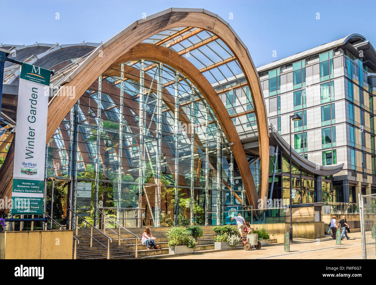 Sheffield Winter Garden, South Yorkshire, Inghilterra Foto Stock