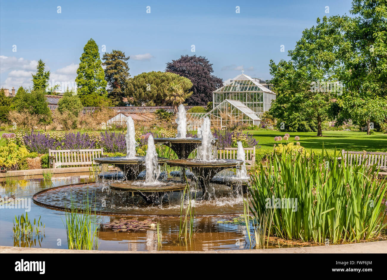 Fontana al Cambridge University Botanic Garden, Inghilterra Foto Stock