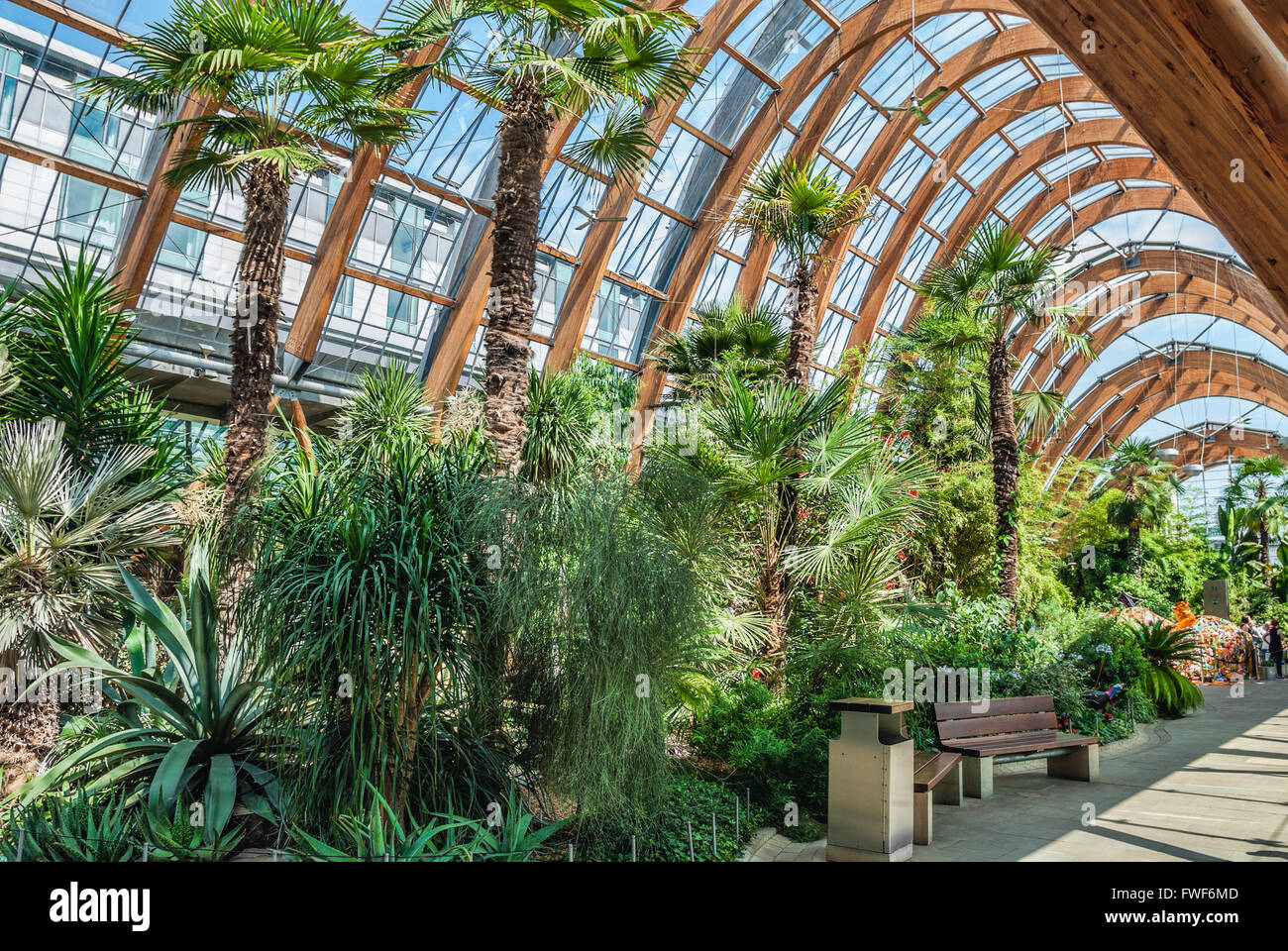 Sheffield Winter Garden, South Yorkshire, Inghilterra Foto Stock