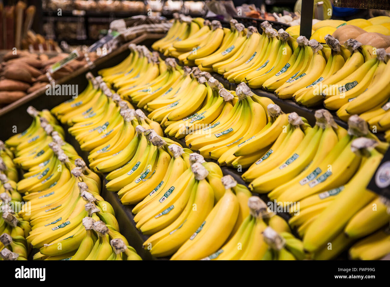 Un display di banana grappoli nel produrre la sezione di un negozio di alimentari Foto Stock