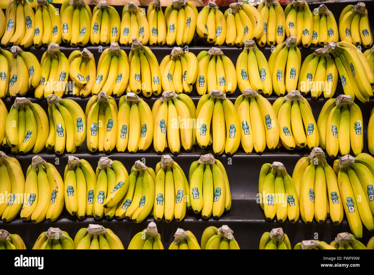 Un display di banana grappoli nel produrre la sezione di un negozio di alimentari Foto Stock