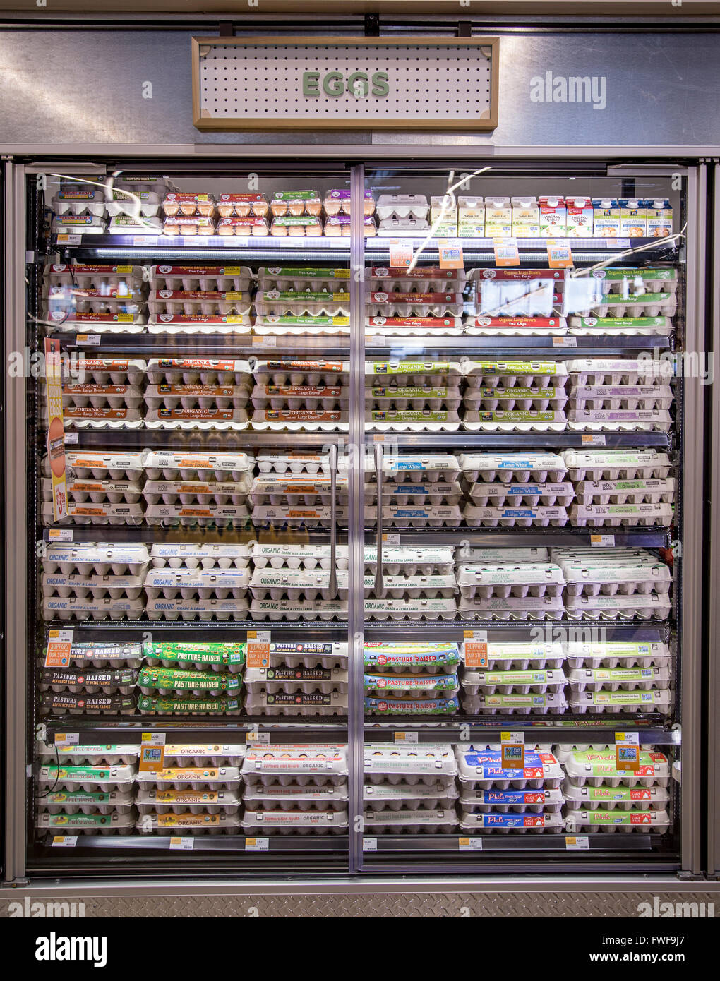 I cartoni di uova visualizzati in una latteria frigorifero caso presso un negozio di alimentari Foto Stock