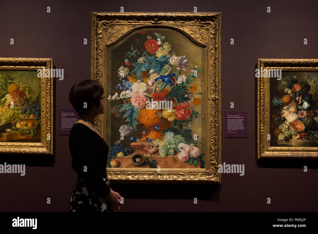 National Gallery di Londra, Regno Unito. 5 Aprile, 2016. Betsy Wiseman, curatore di olandese e dipinti fiamminghi, esamina i fiori in un vaso in terracotta di Jan van Huysum. In coincidenza con il Chelsea Flower Show, questa mostra esplora Dutch Flower pittura dal XVII al XVIII secolo. Credito: artsimages/Alamy Live News Foto Stock