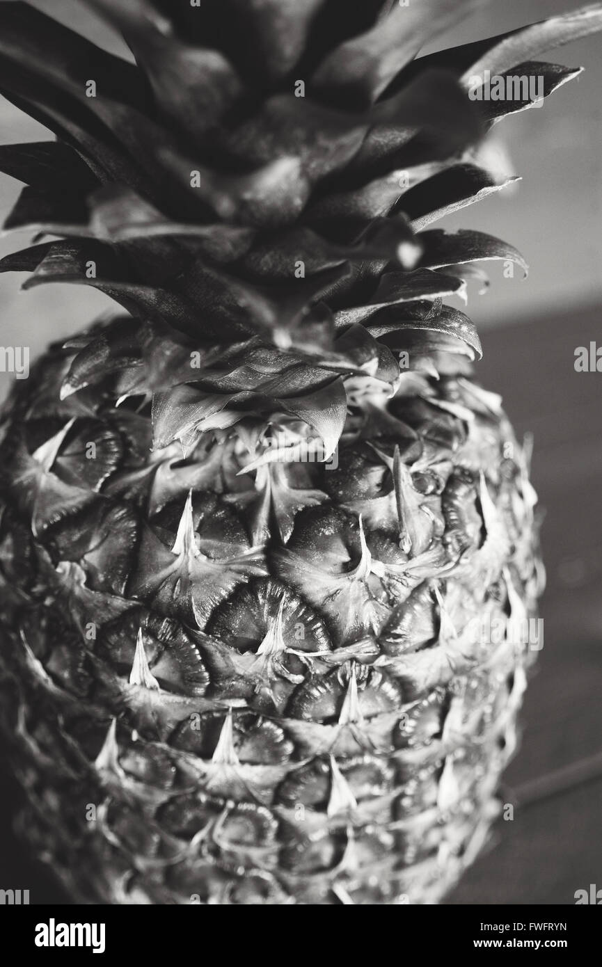 La fotografia in bianco e nero di un ananas intero Foto Stock
