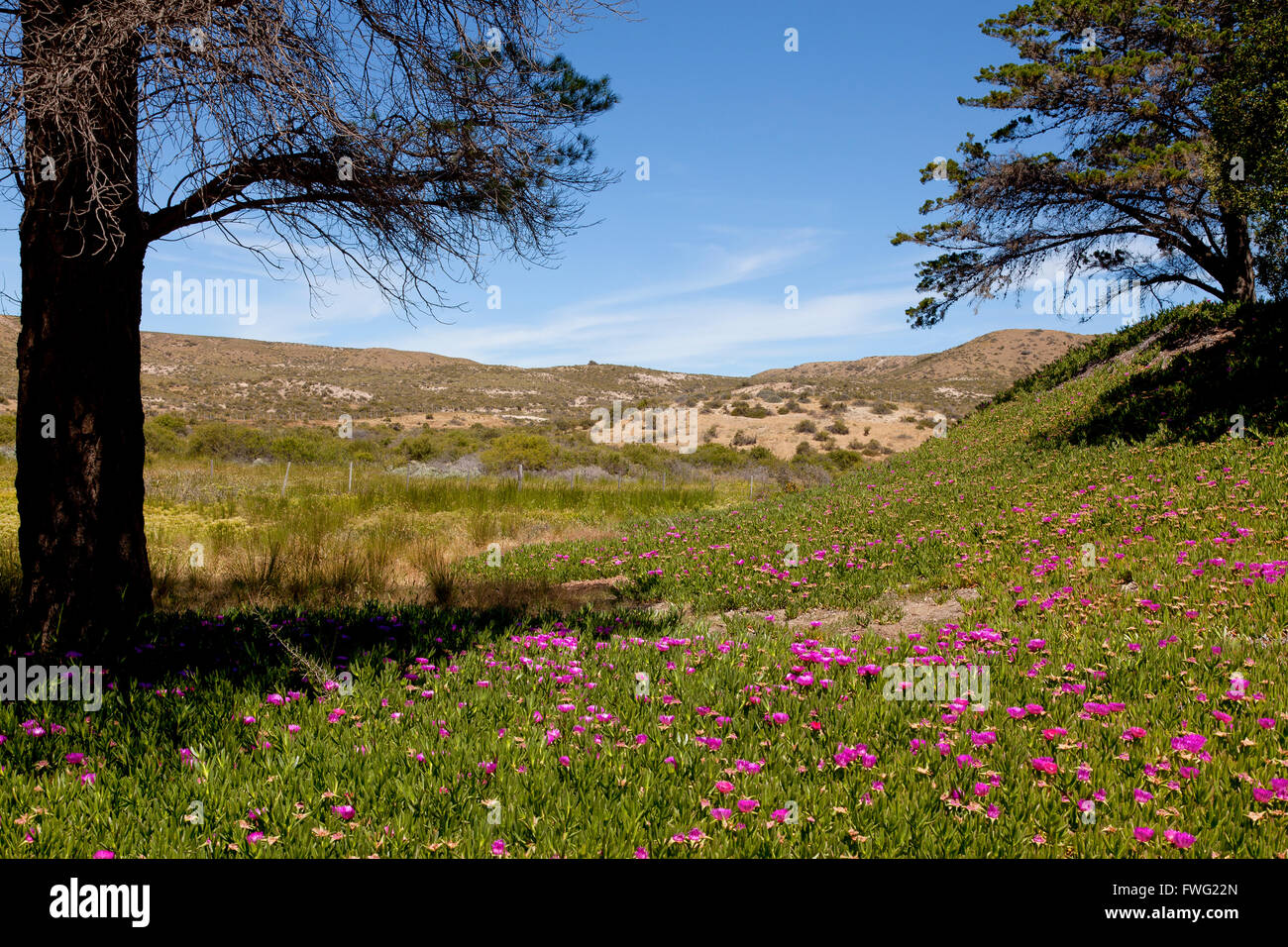 Estancia El Pedral, Patagonia, Argentina Foto Stock