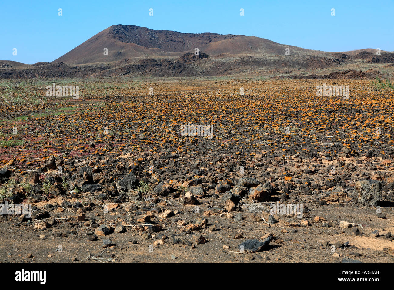 Rocky volcanic badlands 'malpais' paesaggio, Malpaís Grande parco nazionale, Fuerteventura, Isole Canarie, Spagna Foto Stock