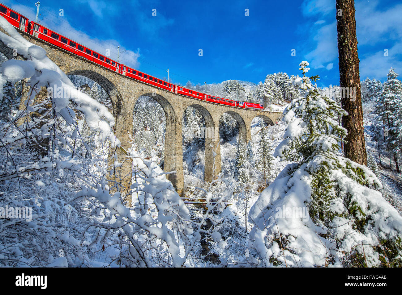 Bernina Express passa attraverso i boschi innevati intorno a Filisur Cantone dei Grigioni Svizzera Europa Foto Stock