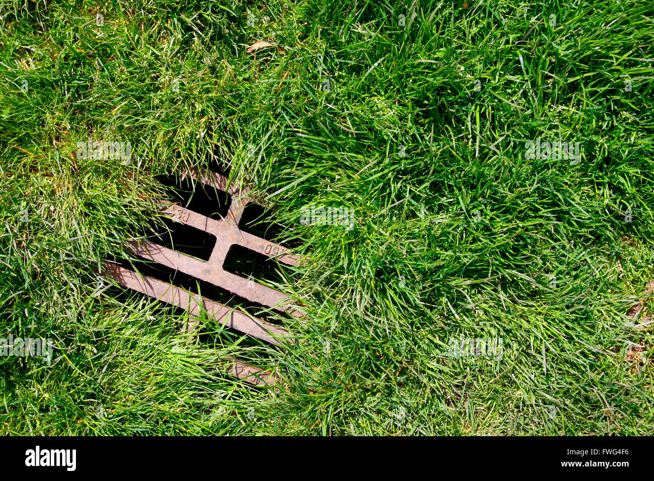 Ricoperta di erba e scarico storm Foto Stock