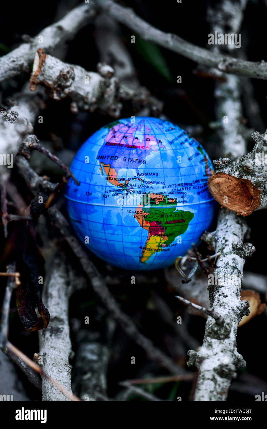 Primo piano di un globo mondo in un mucchio di rami secchi Foto Stock