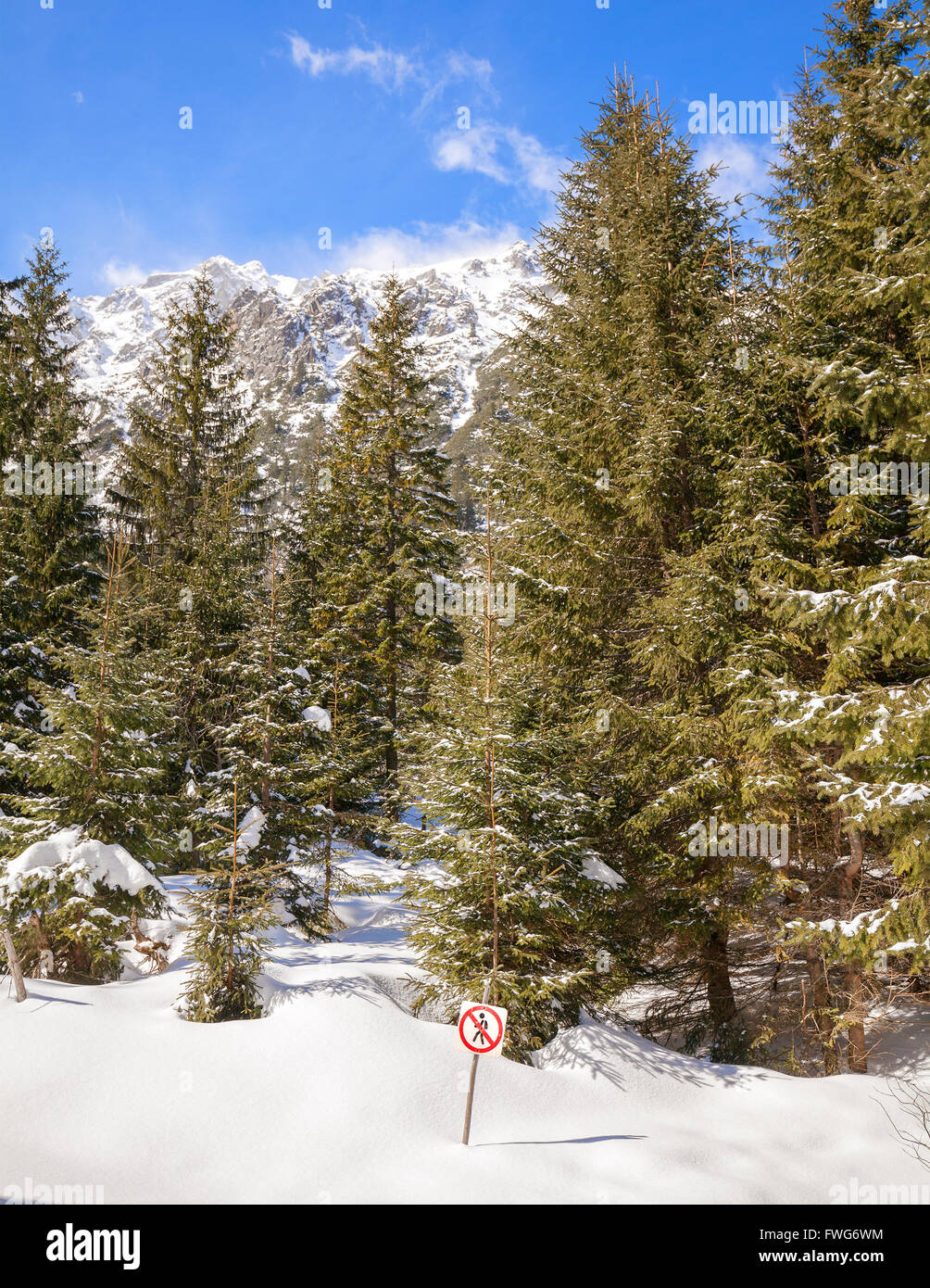 Nessun segno sconfinamenti sul palo di legno nella neve, foresta nei monti Tatra, Polonia. Foto Stock