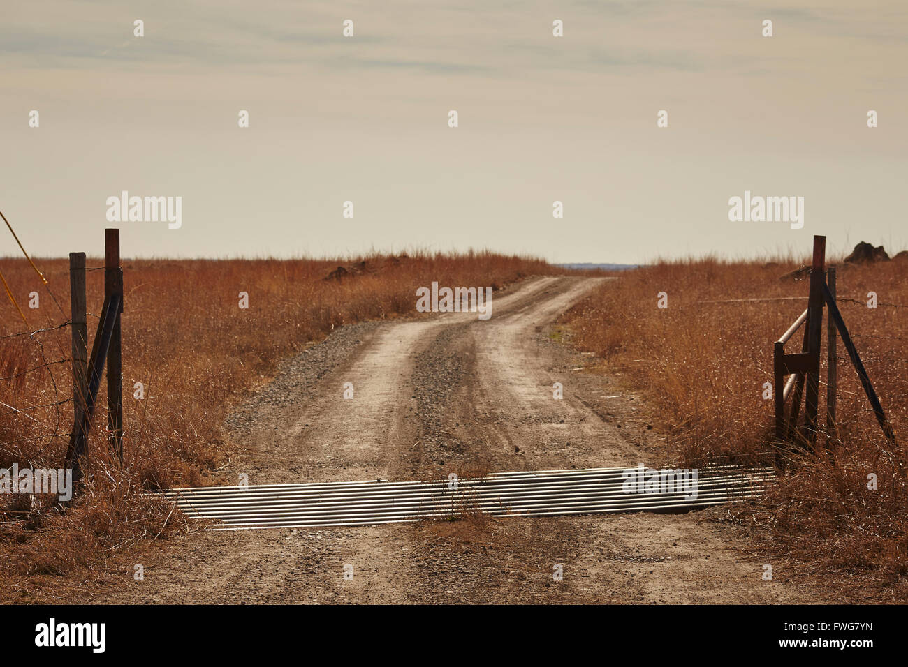 Ranch Road con una guardia del bestiame e cancello vicino Elk City, Oklahoma, Stati Uniti d'America Foto Stock