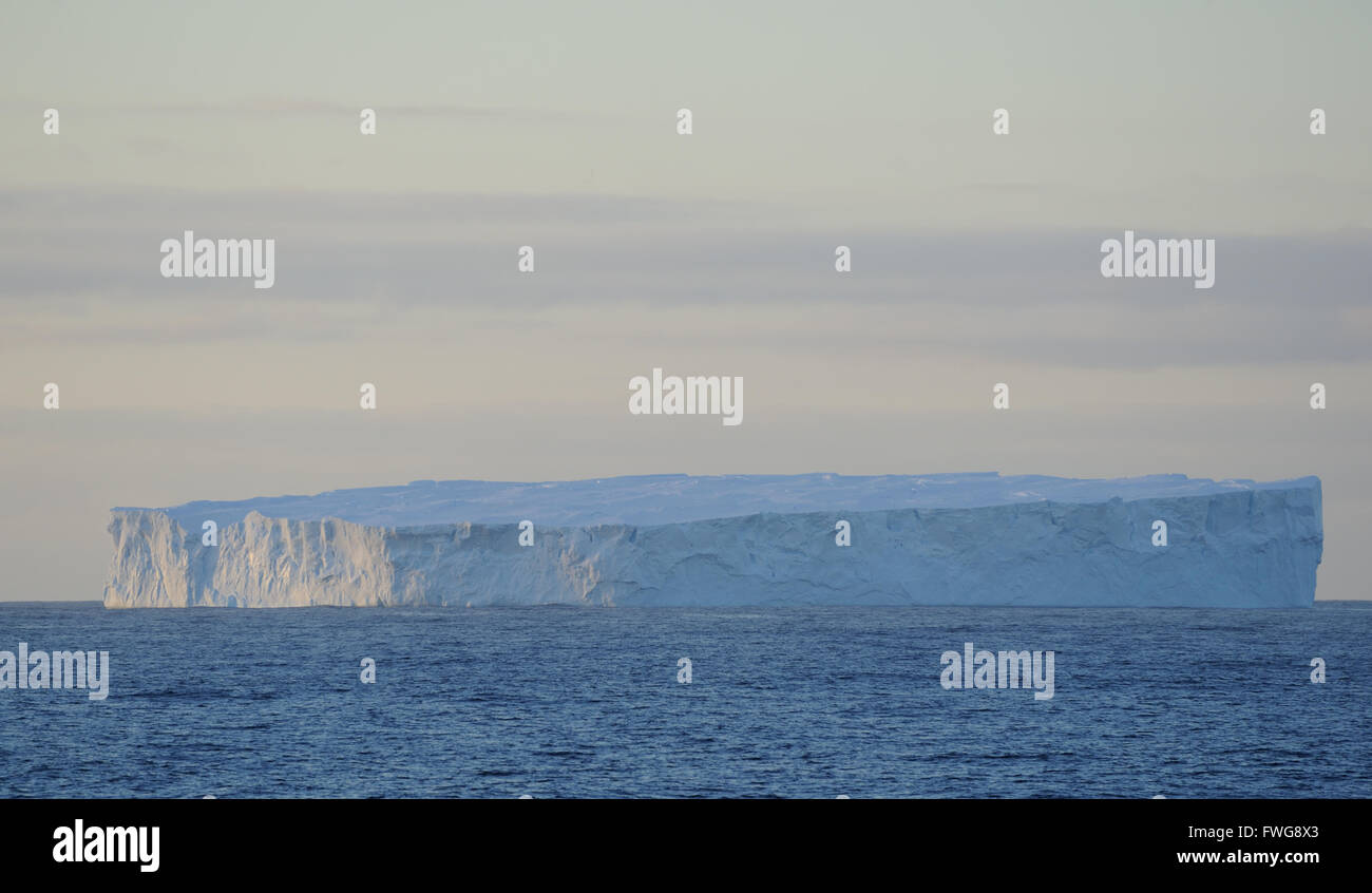Iceberg tabulare nell'Oceano del Sud vicino a sud delle Isole Orkney al tramonto. A sud delle Isole Orkney. Foto Stock
