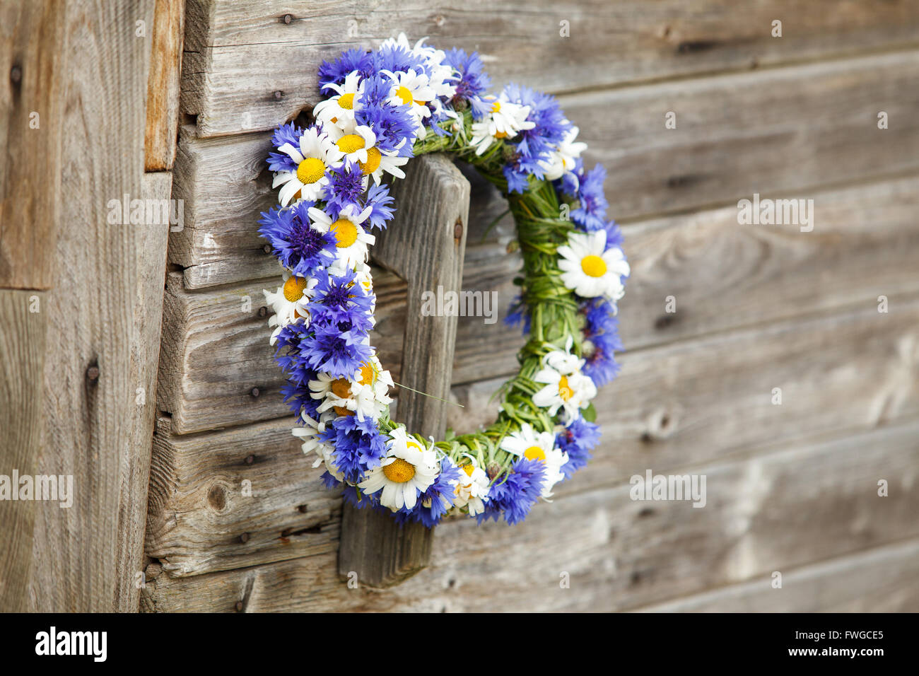 Ciondolo dal blu cornflowers sulla porta di legno Foto Stock