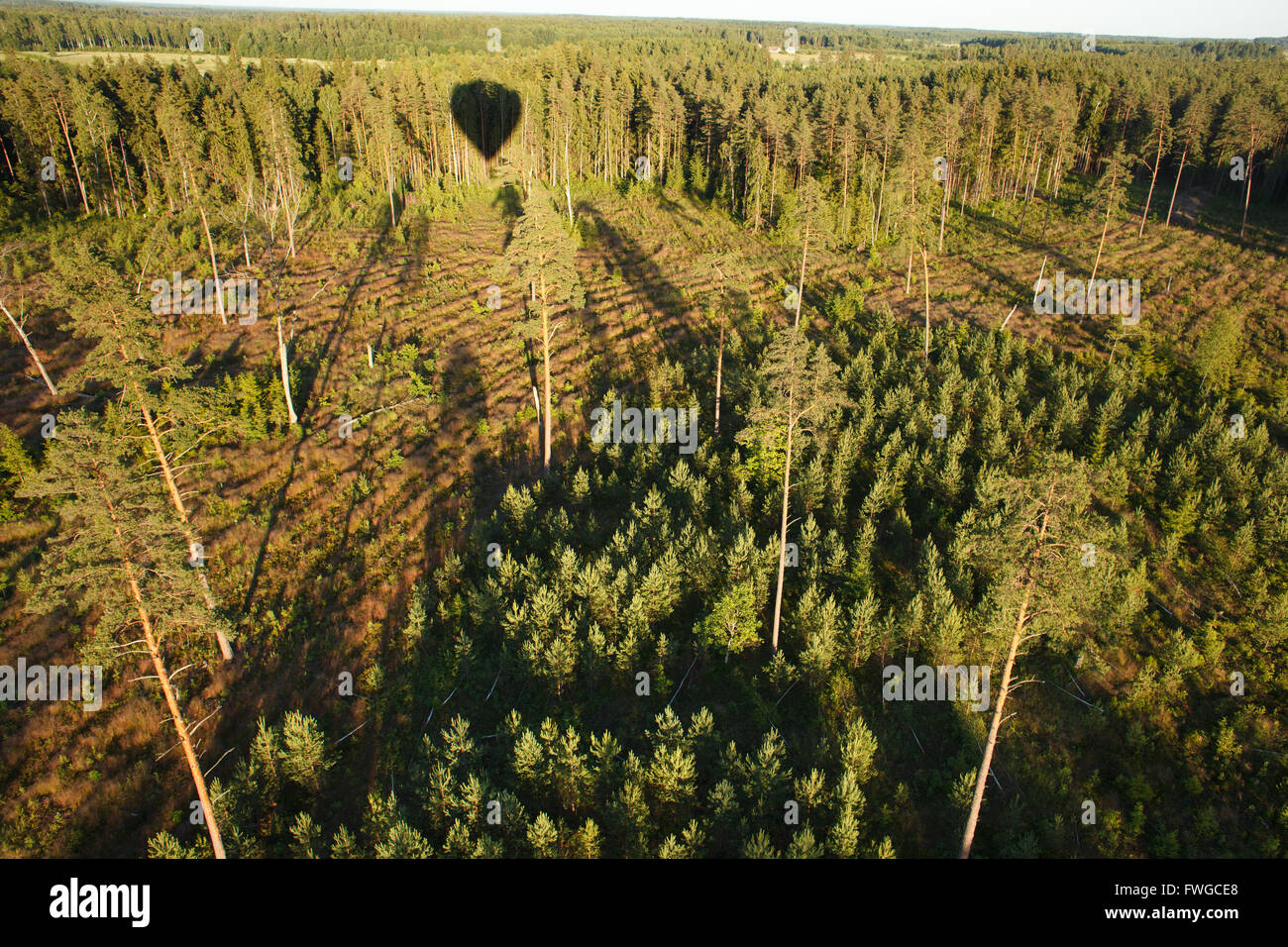 Ombra della Sera del pallone aerostatico sul paesaggio verde Foto Stock