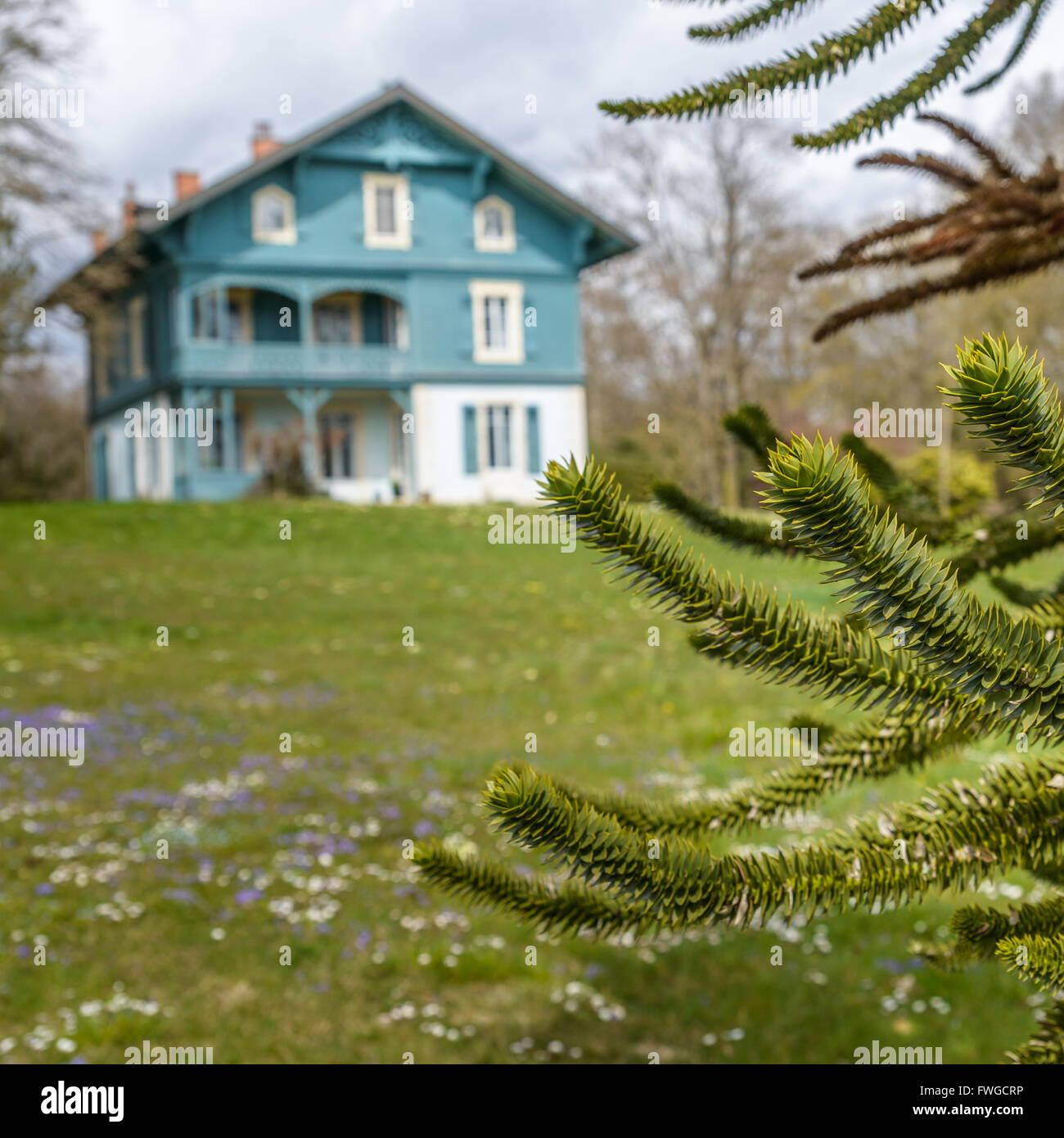 Tradizionale blu swiss cottage in Svizzera durante la primavera Foto Stock