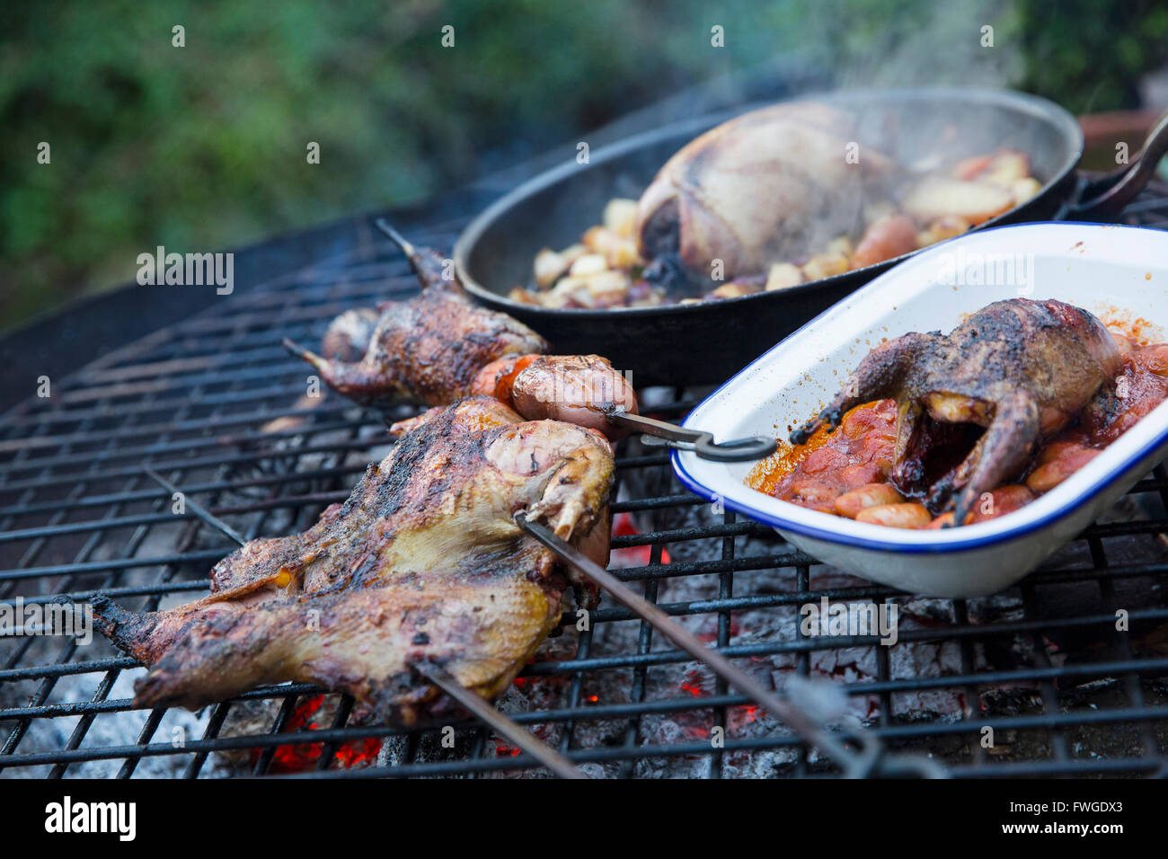 Un cookout all'aperto, due piccoli uccelli di gioco in una padella e uno essendo barbequed sopra carboni ardenti. Foto Stock
