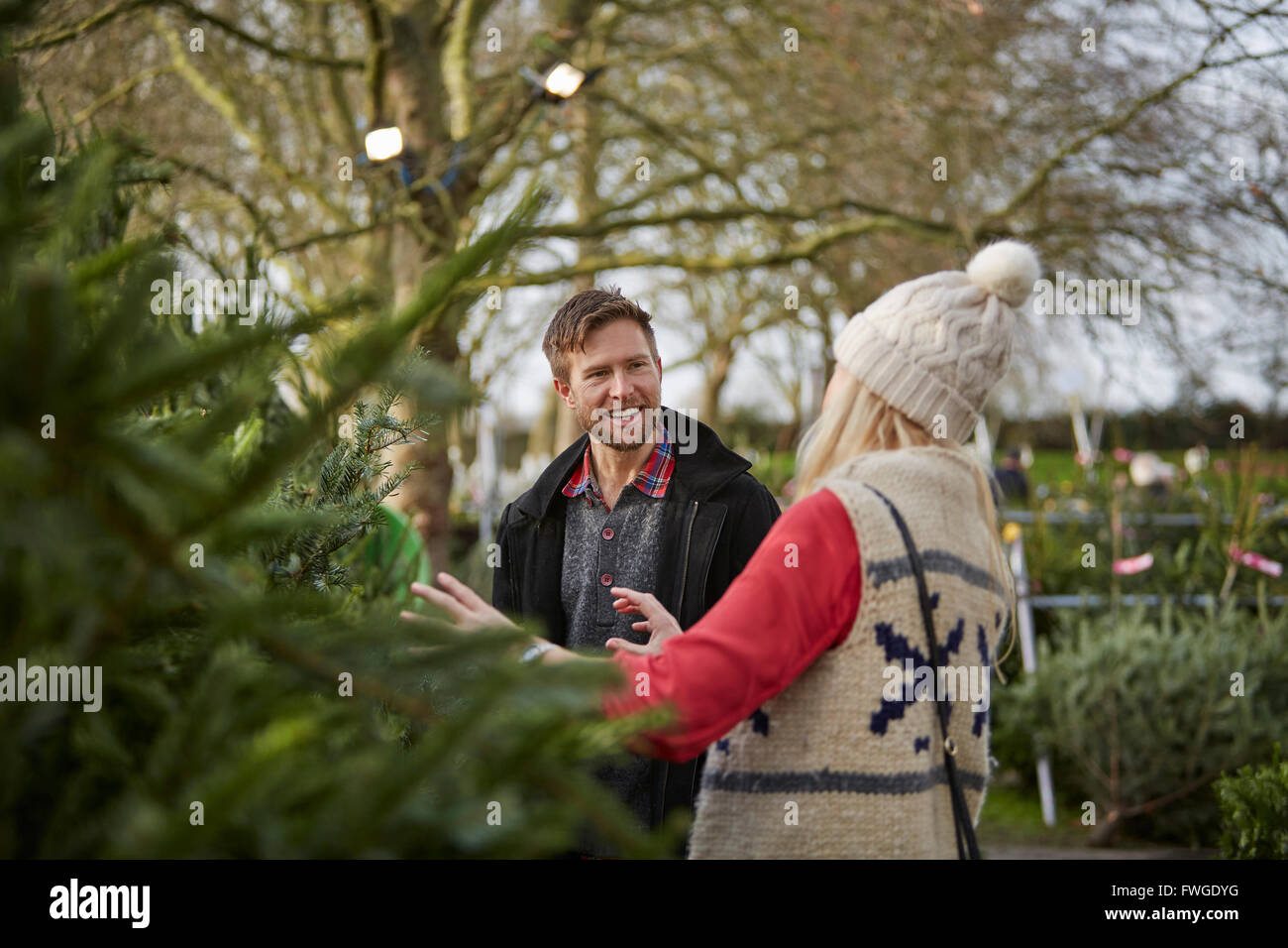 Un uomo e una donna a discutere e scegliendo un tradizionale pino, albero di Natale. Foto Stock