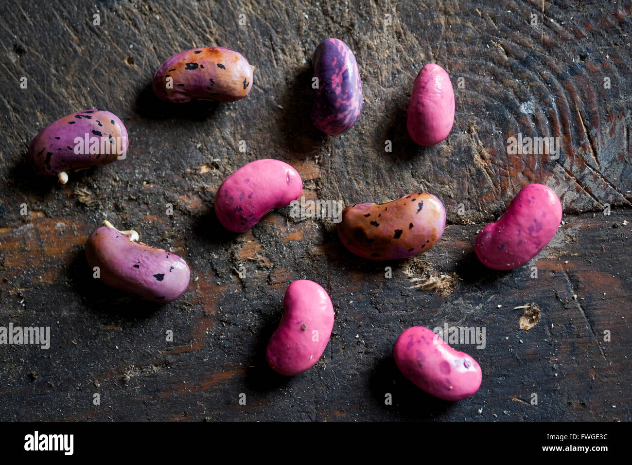 Raccolte runner semi di fagiolo, distanziati su una superficie in legno, l'asciugatura durante l'inverno. Foto Stock