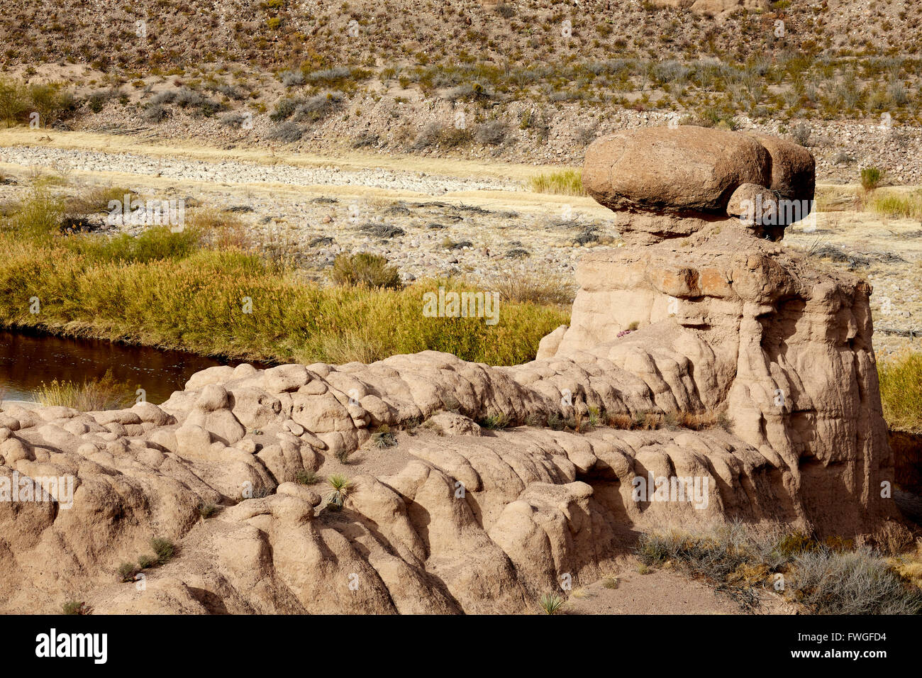 Hoodoo e del Fiume Rio Grande, Texas Messico frontiera, Big Bend Ranch State Park, STATI UNITI D'AMERICA Foto Stock