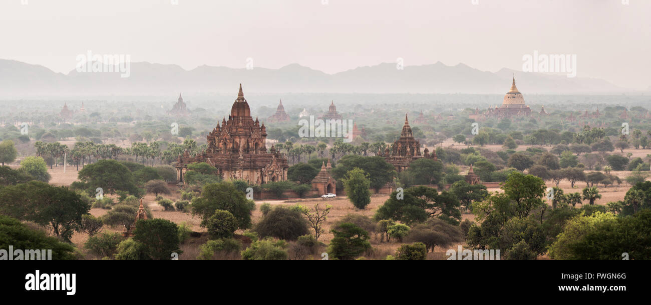 Bagan (pagano) templi buddisti e antica città, Myanmar (Birmania), Asia Foto Stock