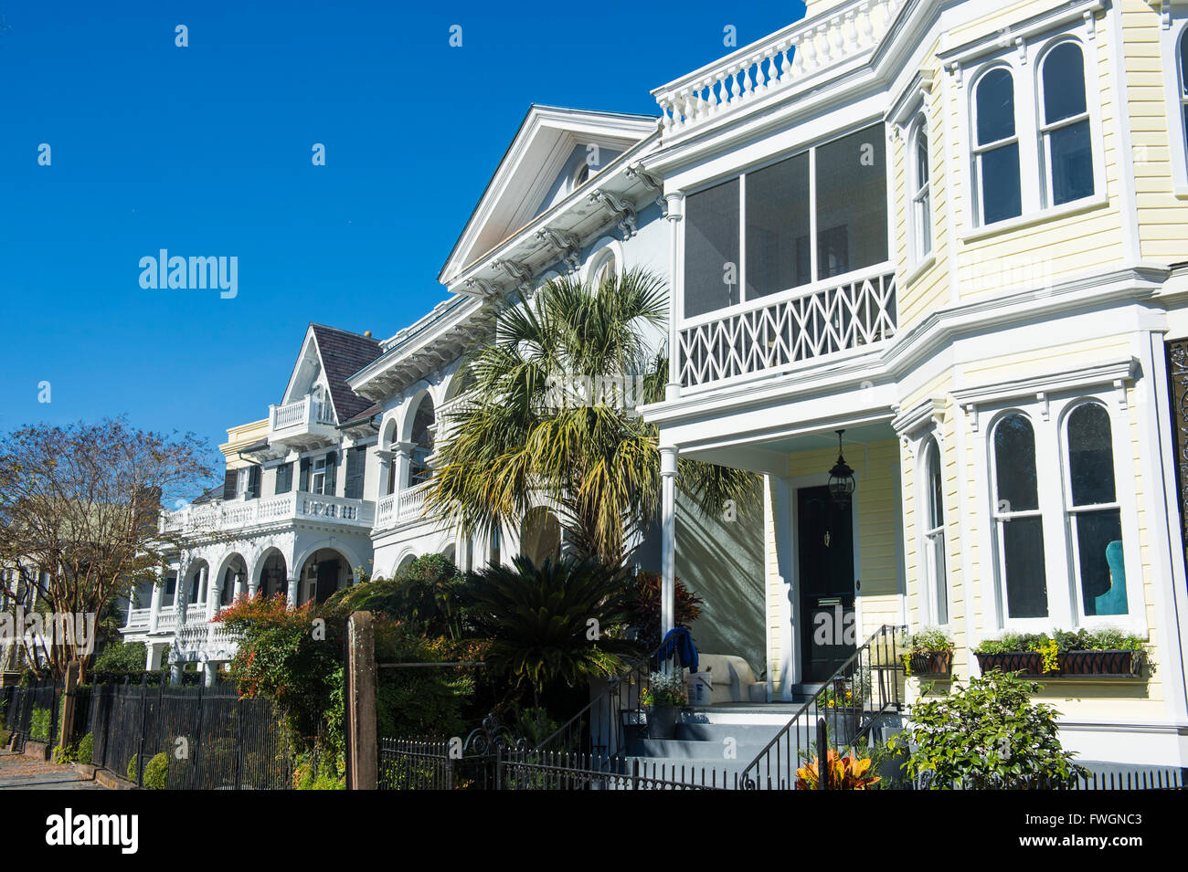 Case coloniali in Charleston, Carolina del Sud, Stati Uniti d'America, America del Nord Foto Stock