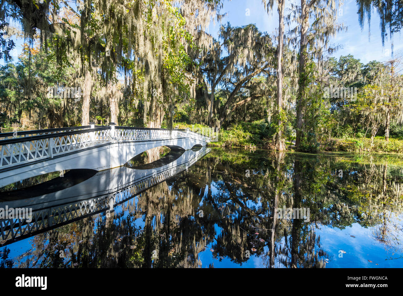 Ponte refelcting in uno stagno in Magnolia Plantation al di fuori di Charleston, South Carolina, Stati Uniti d'America Foto Stock