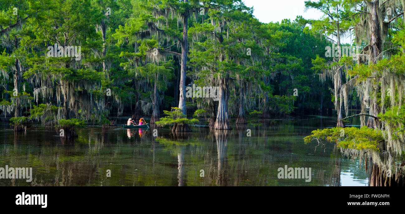 Caddo Lake, Texas, Stati Uniti d'America, America del Nord Foto Stock