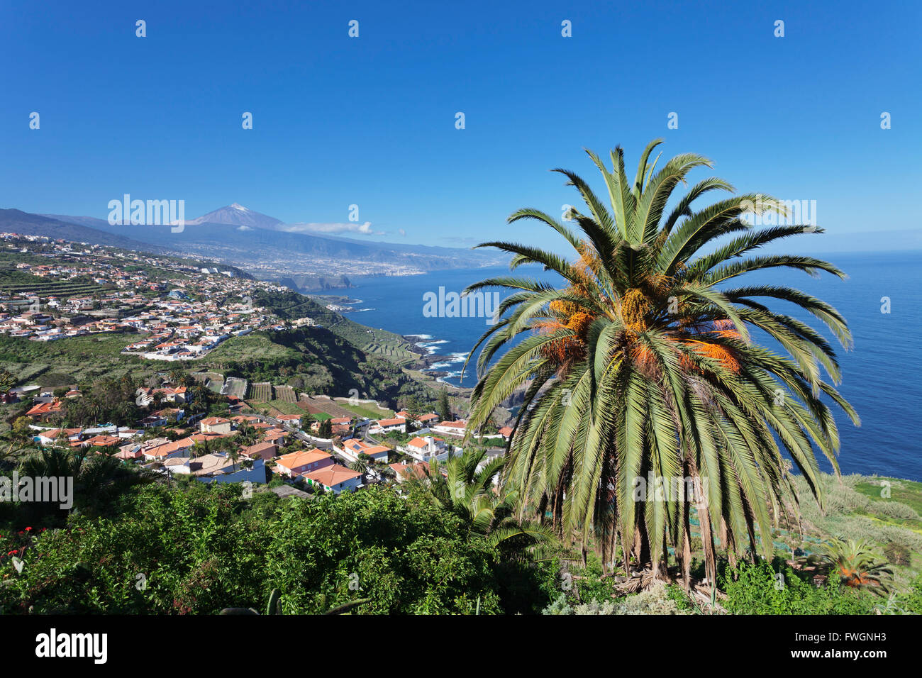 Vista sulla valle di Orotava per la costa nord e Puerto de la Cruz und den Teide, Tenerife, Isole Canarie, Spagna, Atlantico Foto Stock