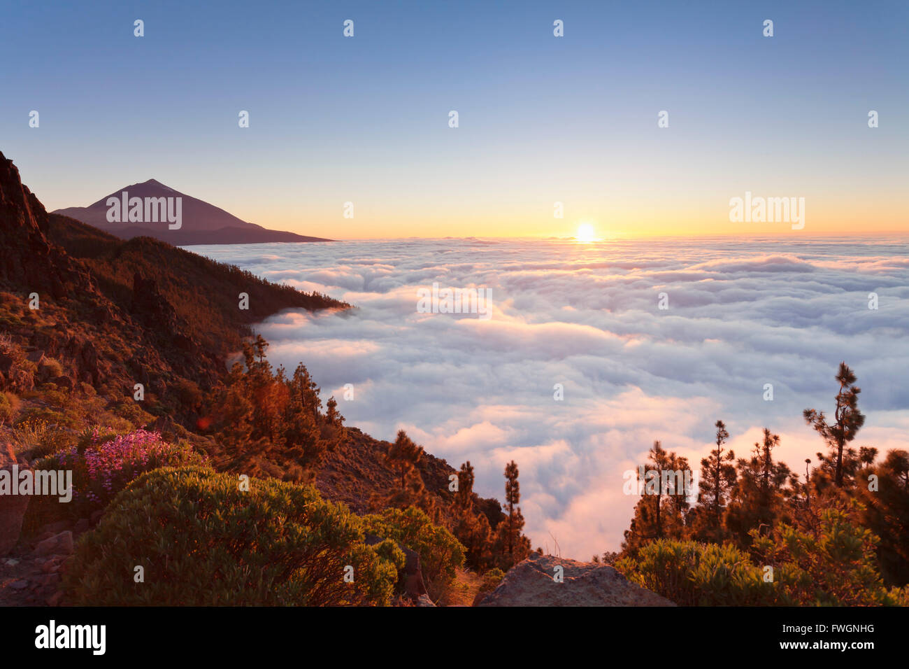 Pico del Teide al tramonto, Parco Nazionale del Teide, sito Patrimonio Mondiale dell'UNESCO, Tenerife, Isole Canarie, Spagna, Europa Foto Stock