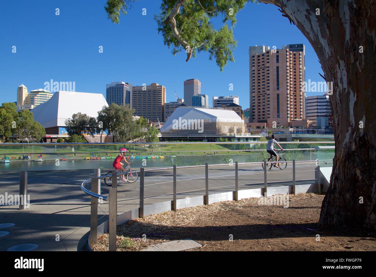 Vista della città da Adelaide Oval, Adelaide, Sud Australia, Oceania Foto Stock