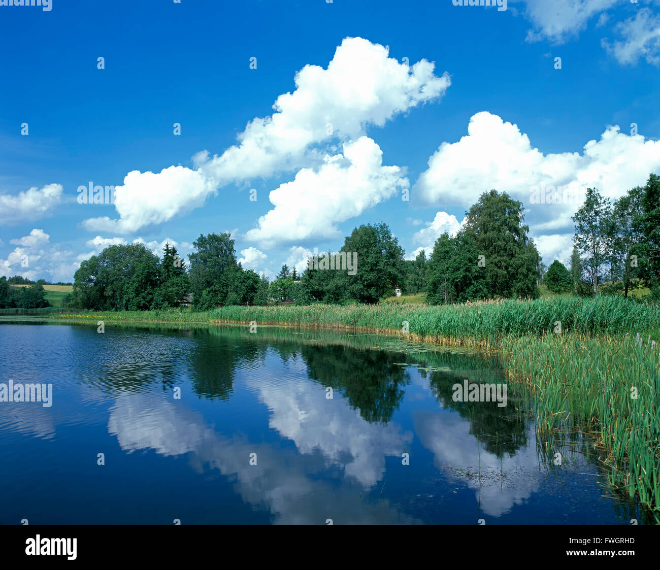 Lake Pühajärv vicino a Otepää, Estonia, Europa Foto Stock