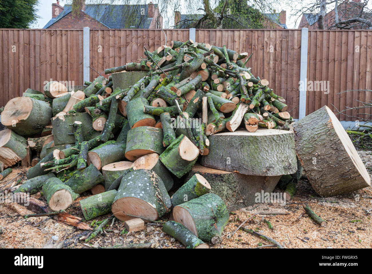 Pila di log. Pila di log da un albero abbattuto tagliata e segati fino in un giardino, England, Regno Unito Foto Stock