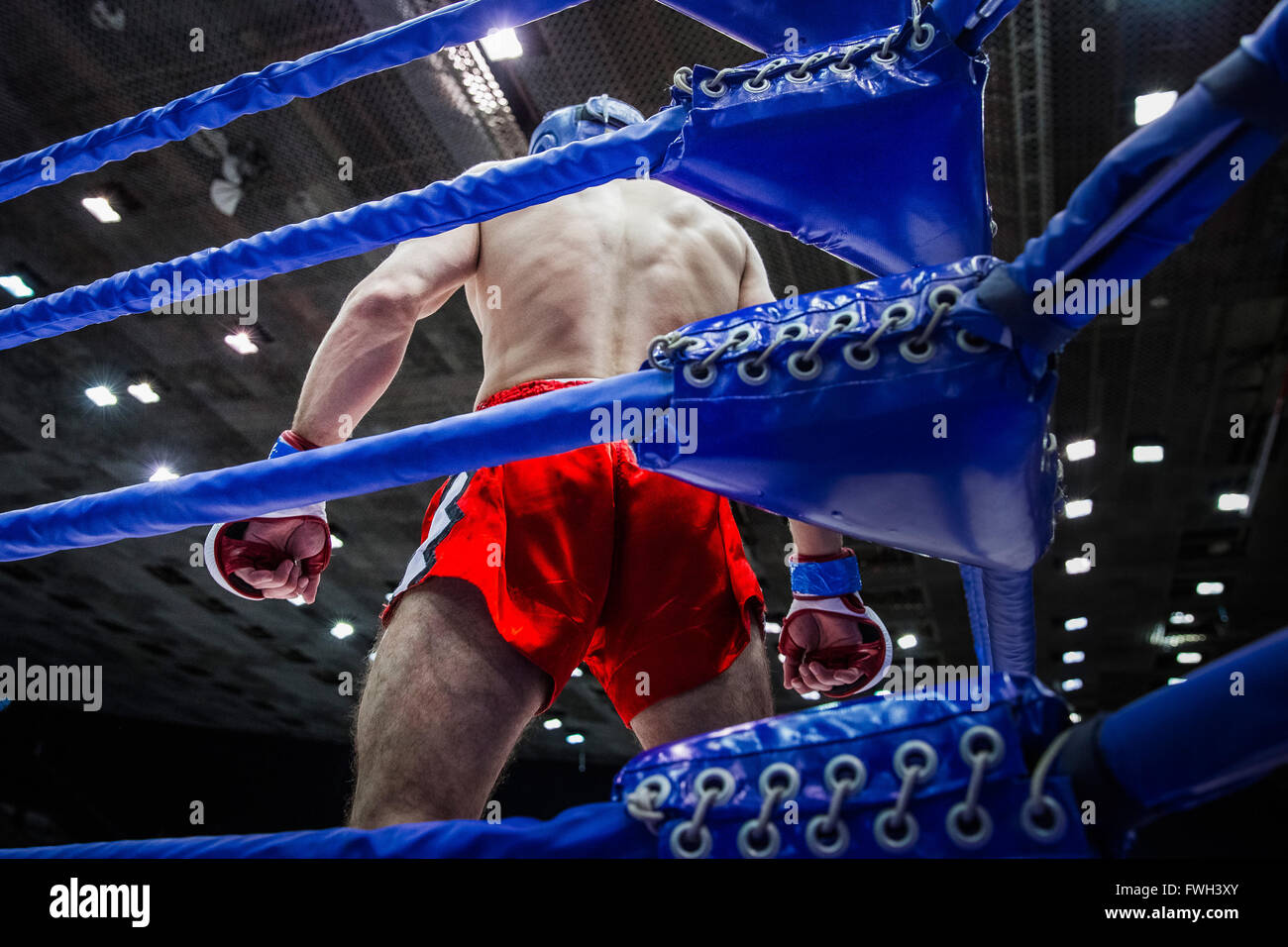 Fighter boxer in angolo del ring prima lotta sui concorsi in combattimenti misti single combatte Foto Stock
