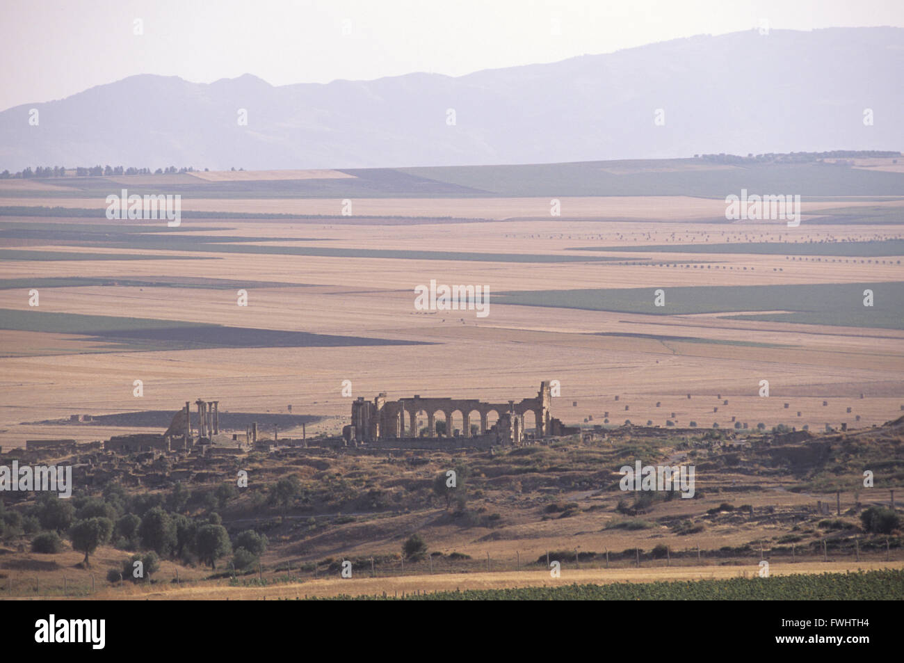 Volubillis è un'antica città romana in Marocco. Considerata l'antica capitale della Mauritania. Situato nei pressi di Meknes città. Foto Stock