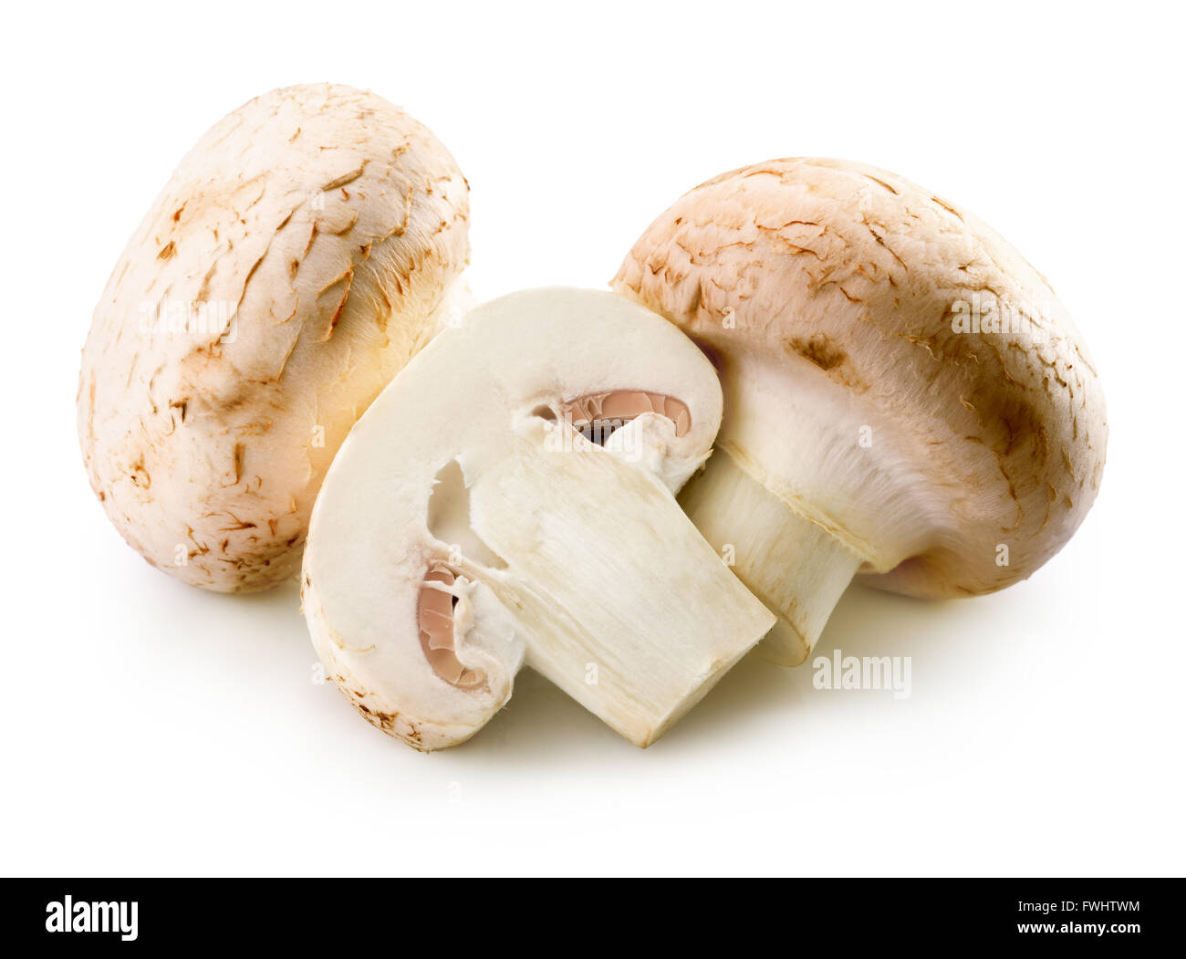 Bianco di funghi isolati su uno sfondo bianco. Foto Stock