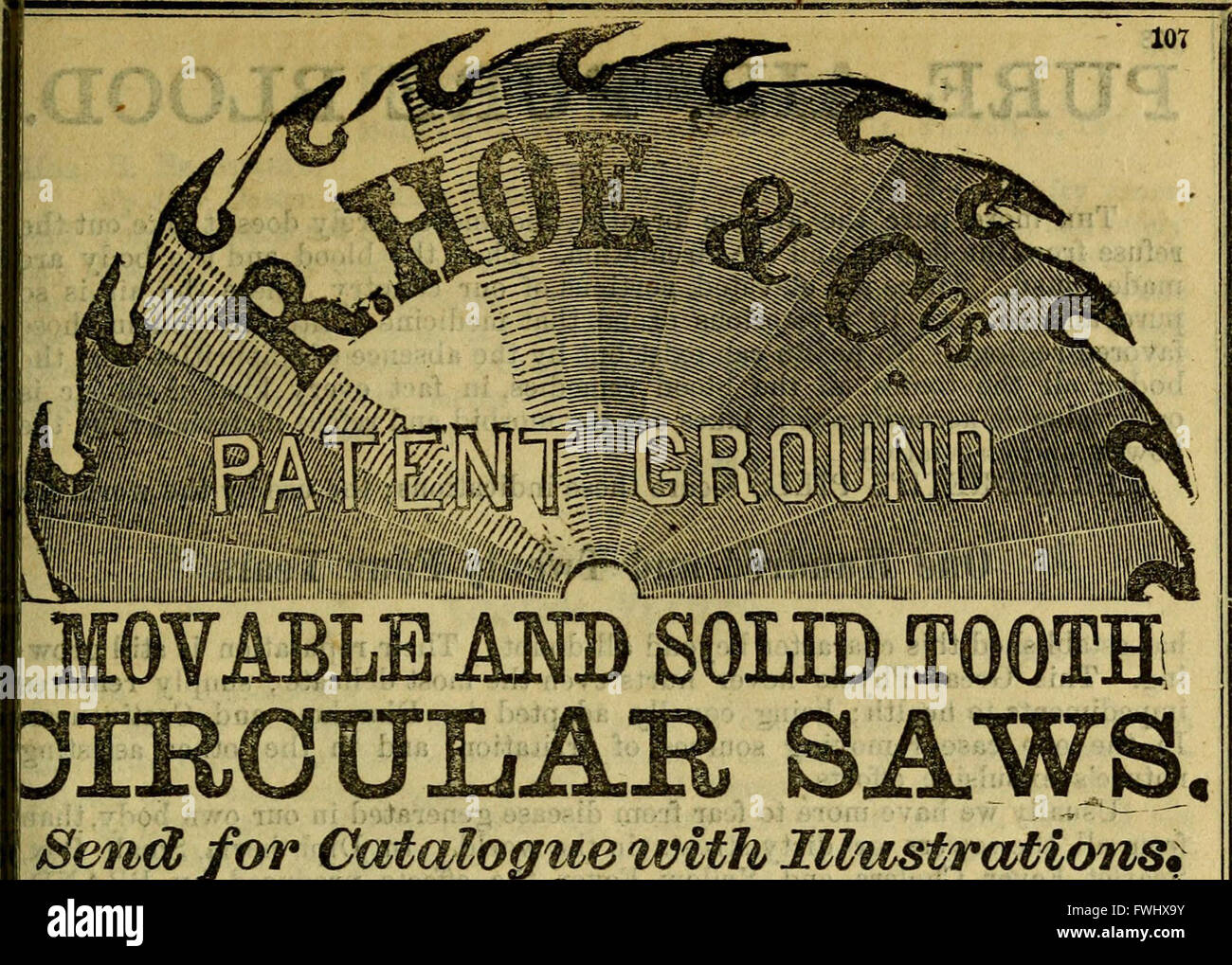 Il Tribune Almanac and Political Register of 1875 fornisce una sintesi completa degli eventi politici, delle cifre e delle elezioni negli Stati Uniti durante quell'anno. Offre approfondimenti sul panorama politico, sui principali partiti politici e sulle figure chiave che hanno plasmato l'ambiente politico degli Stati Uniti a metà del XIX secolo. Foto Stock