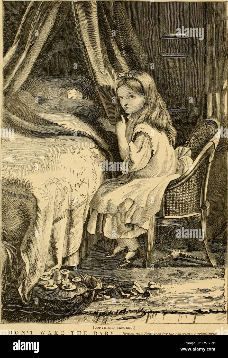 American agricoltore, per la fattoria, il giardino e la casa (1868) Foto Stock
