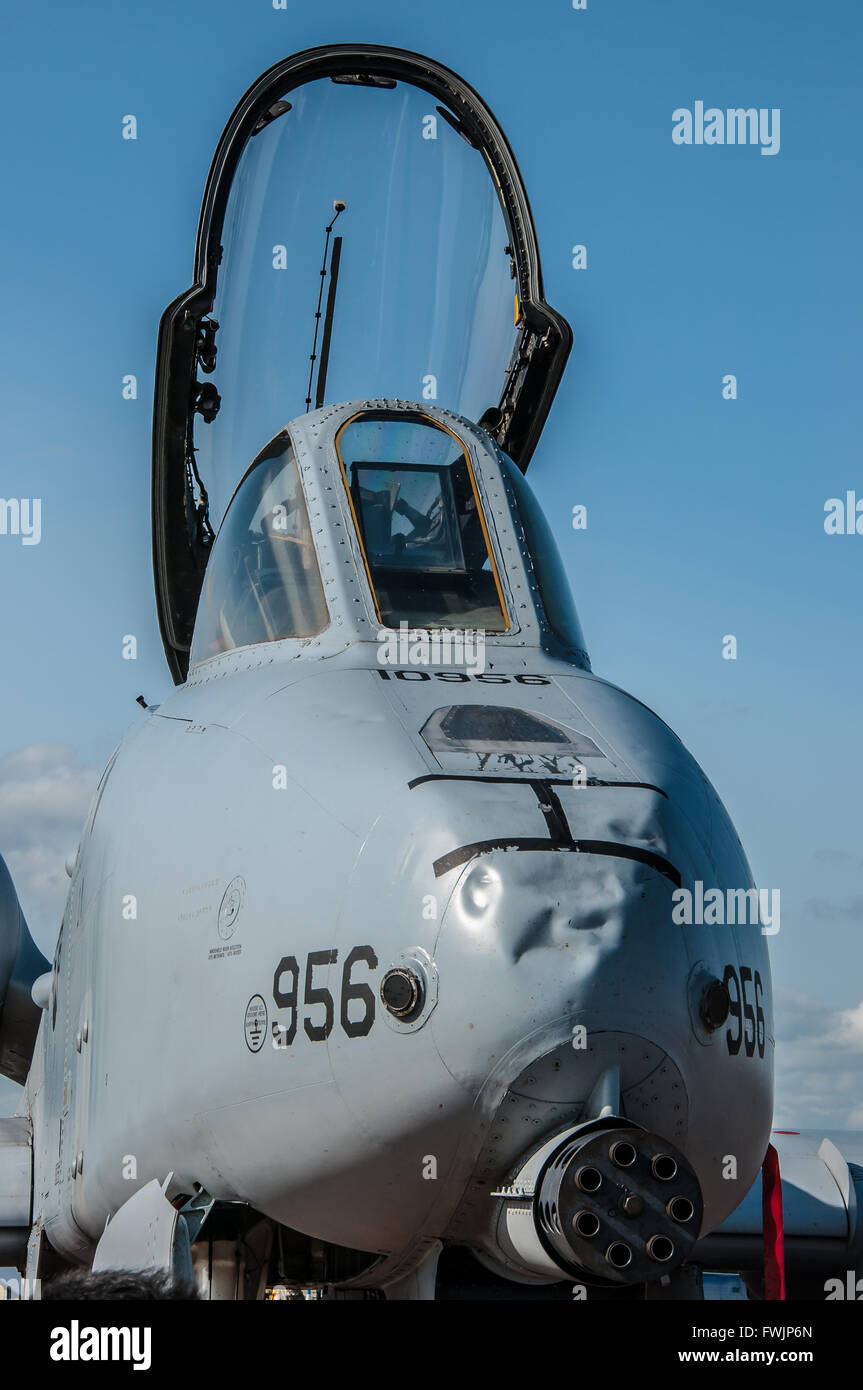 Il Fairchild Republic A-10 Thunderbolt II è un aereo bimotore ad ala dritta statunitense sviluppato per l'attacco al suolo da parte dei carri armati. Naso danneggiato Foto Stock