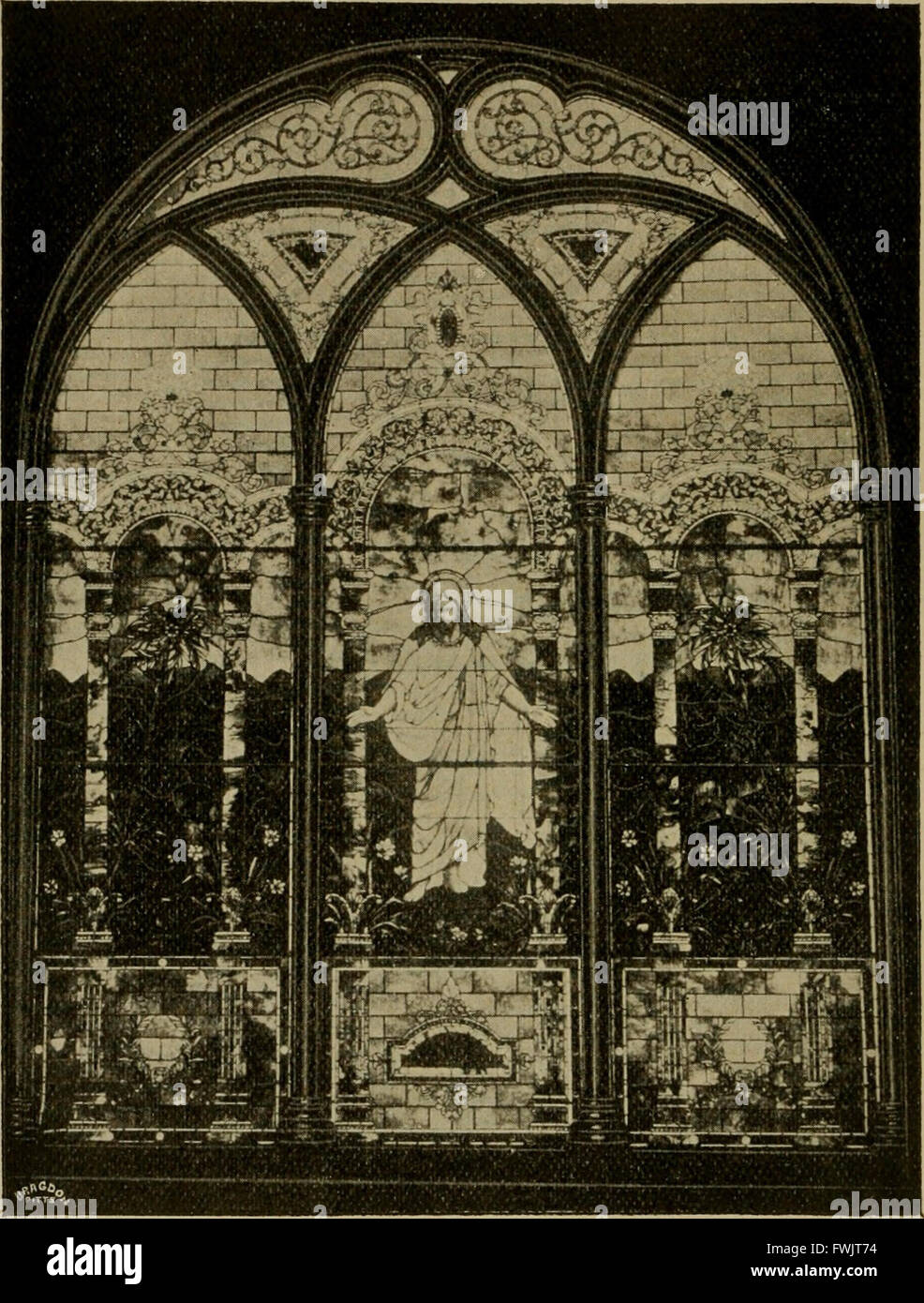 Questa guida botanica del 1894 esplora i Phipps Conservatories di Pittsburgh e Allegheny, mostrando diverse specie di piante e la loro coltivazione nei conservatori. Foto Stock