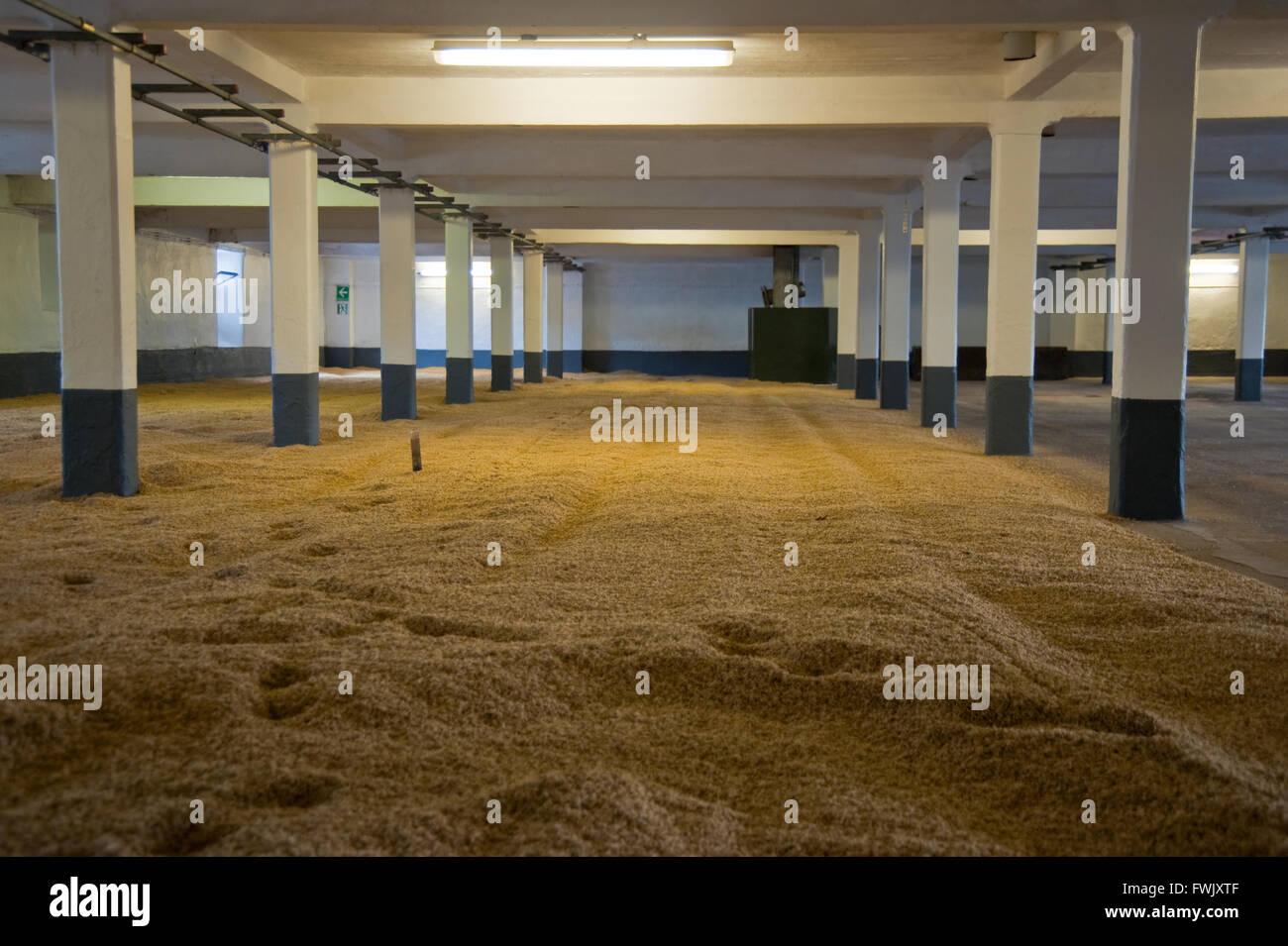 L'orzo di malteria di stanza di una distilleria scozzese Foto Stock