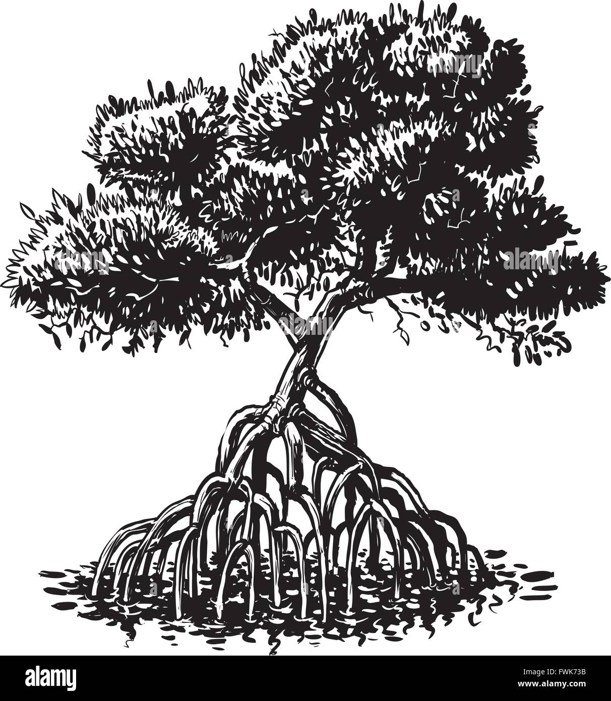 Vector cartoon clip art illustrazione di un bianco e nero o inchiostro monocromatico di disegno di un albero di mangrovie. Illustrazione Vettoriale