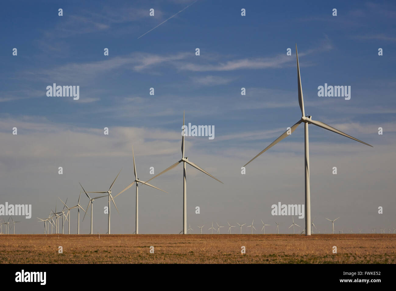 Vento generatori di potenza vicino a Amarillo, Texas, Stati Uniti d'America Foto Stock