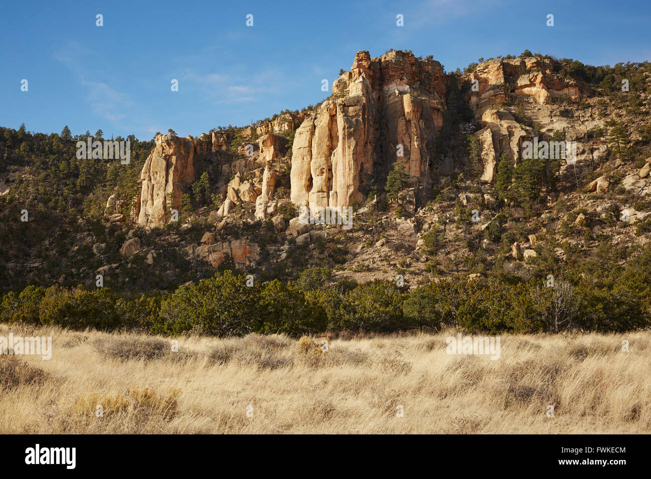 Scogliere e pascoli, El Malpais monumento nazionale, Nuovo Messico, STATI UNITI D'AMERICA Foto Stock