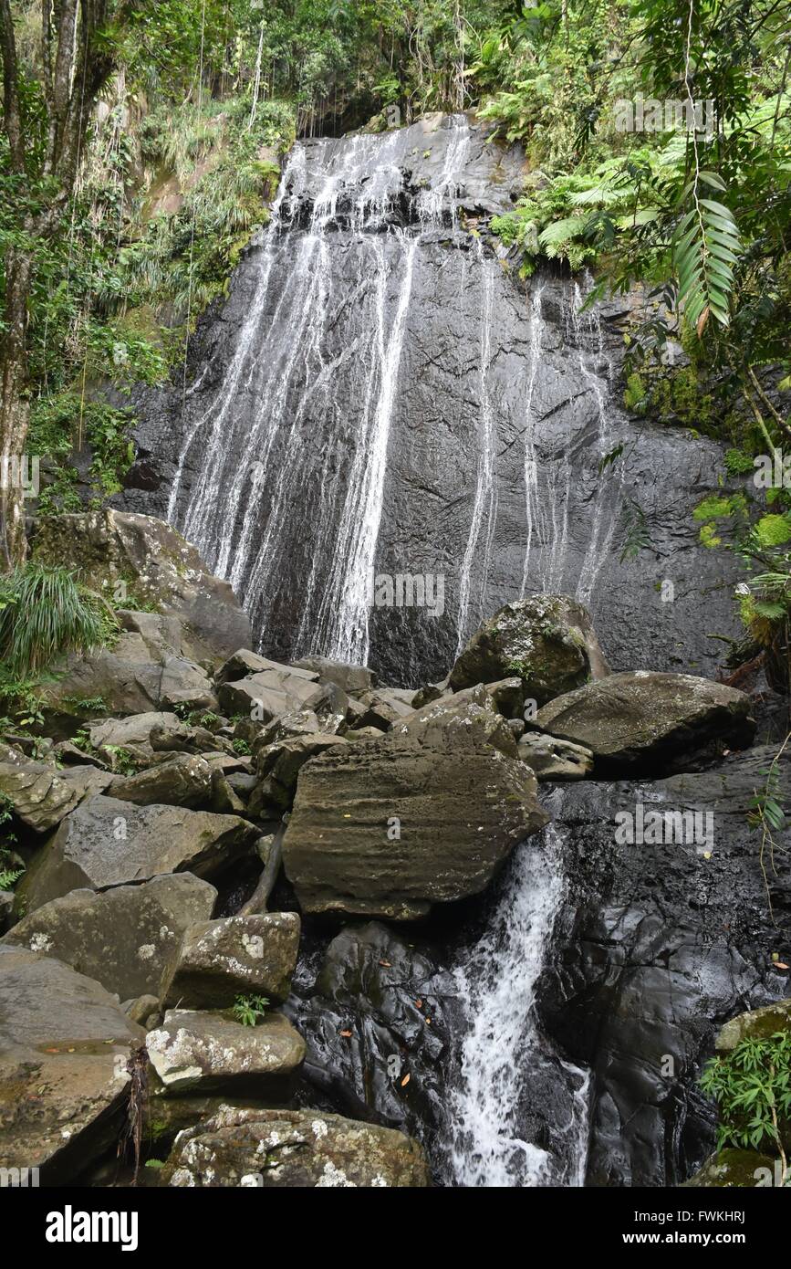 Una piccola cascata in Puerto Rico rain forest Foto Stock