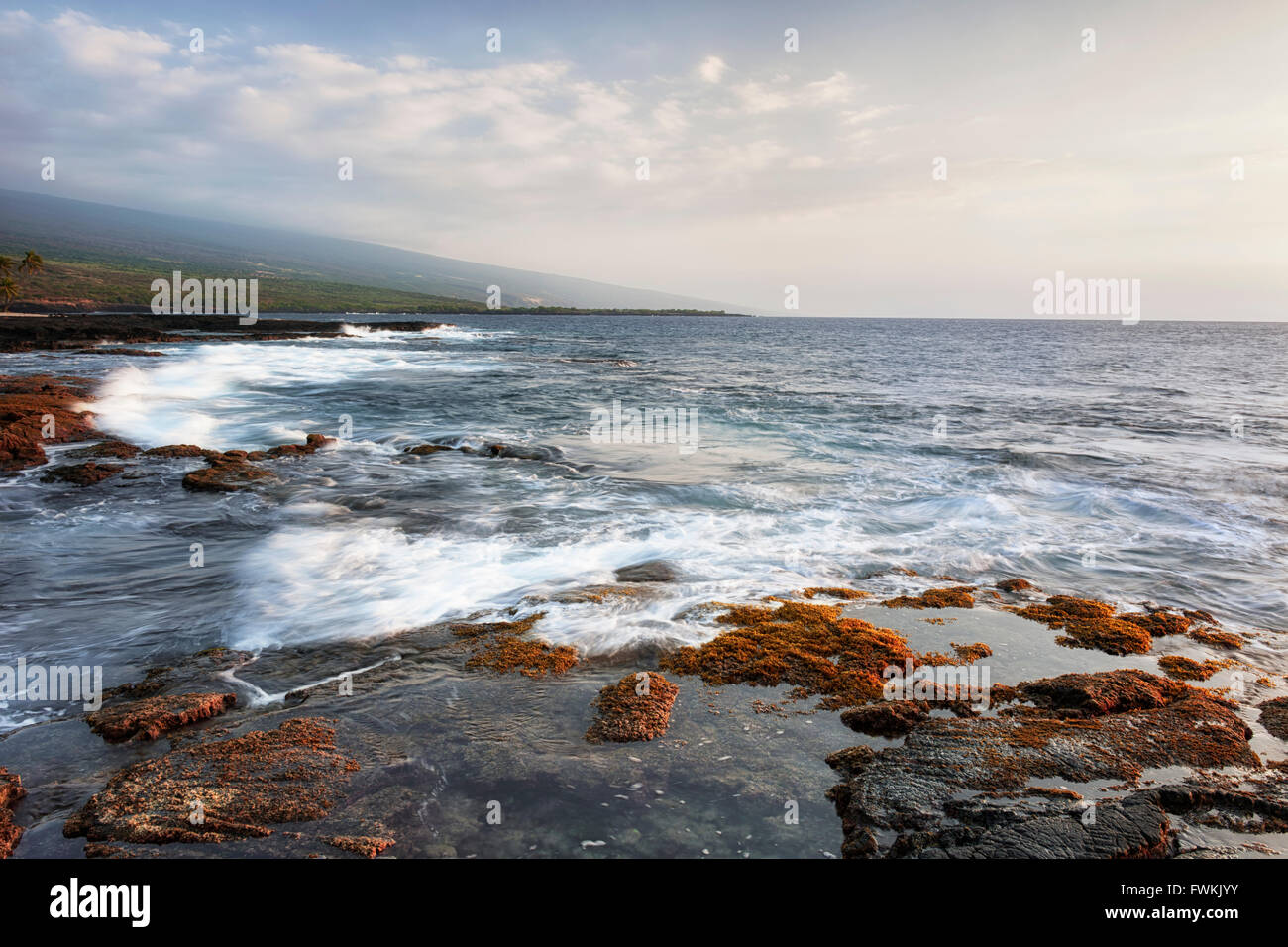 Sera surf versa su le pozze di marea presso il luogo di rifugio Parco nazionale storico sulla Big Island delle Hawaii. Foto Stock