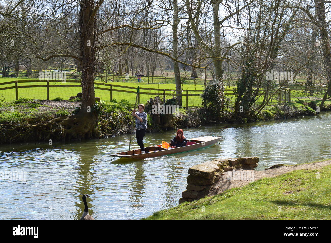 Uno Studente Giovane Punting Sul Isis Fiume Tamigi In Oxford In Una Bella Giornata Di Primavera Foto Stock Alamy