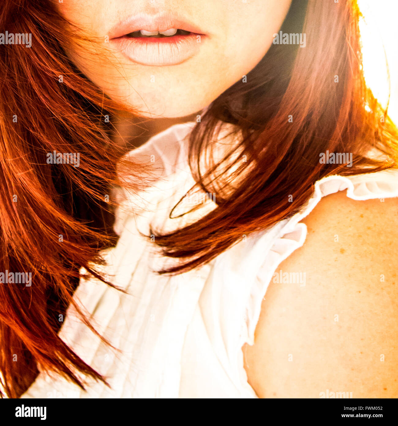 Immagine ritagliata di donna con capelli castani Foto Stock