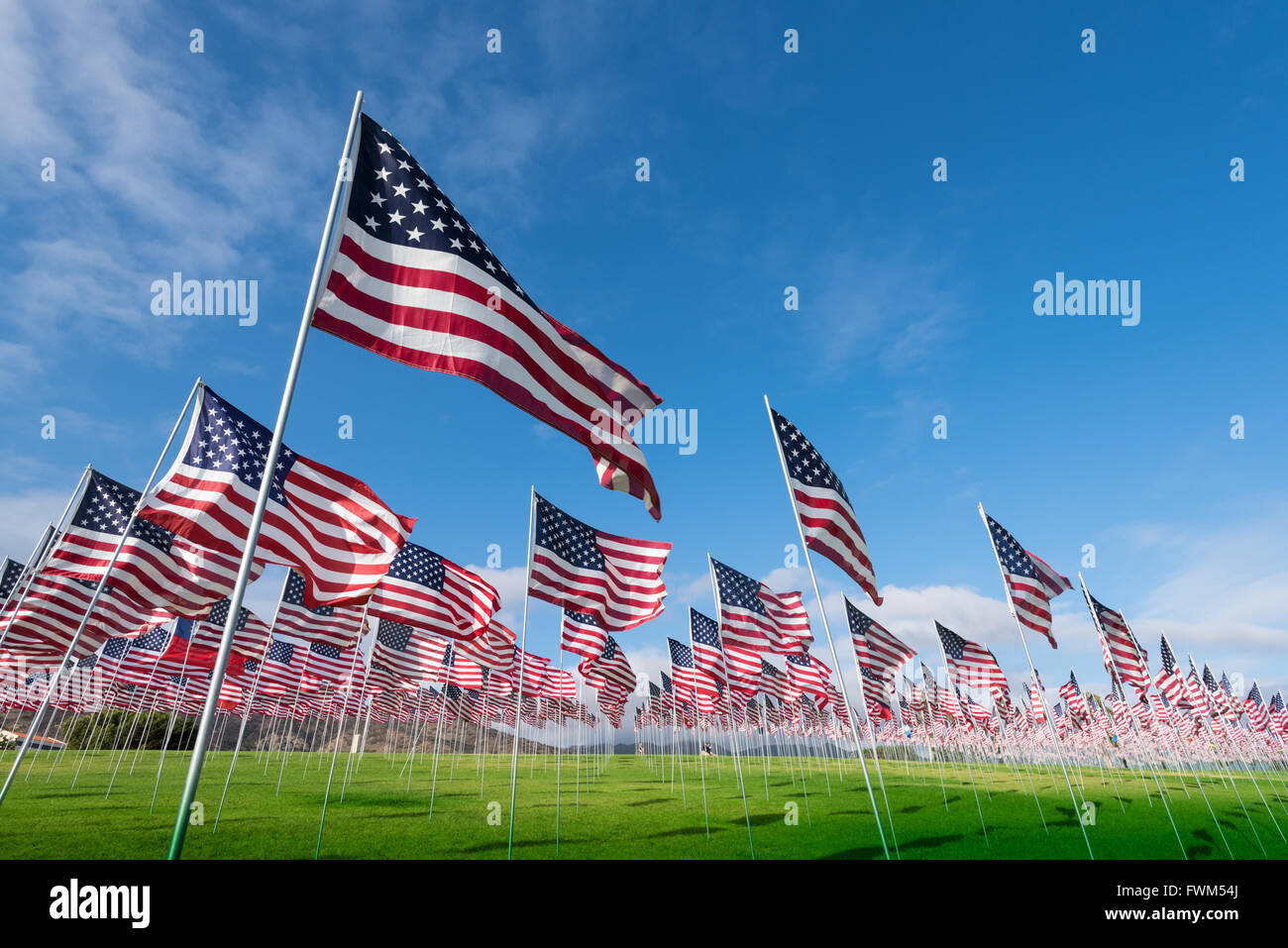 Un campo di centinaia di bandierine americane. Commemorando Veteran's day memorial day o 9/11. Foto Stock