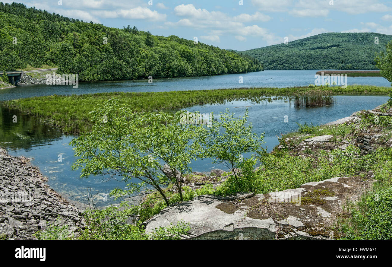 Upstate New York serbatoio Foto Stock