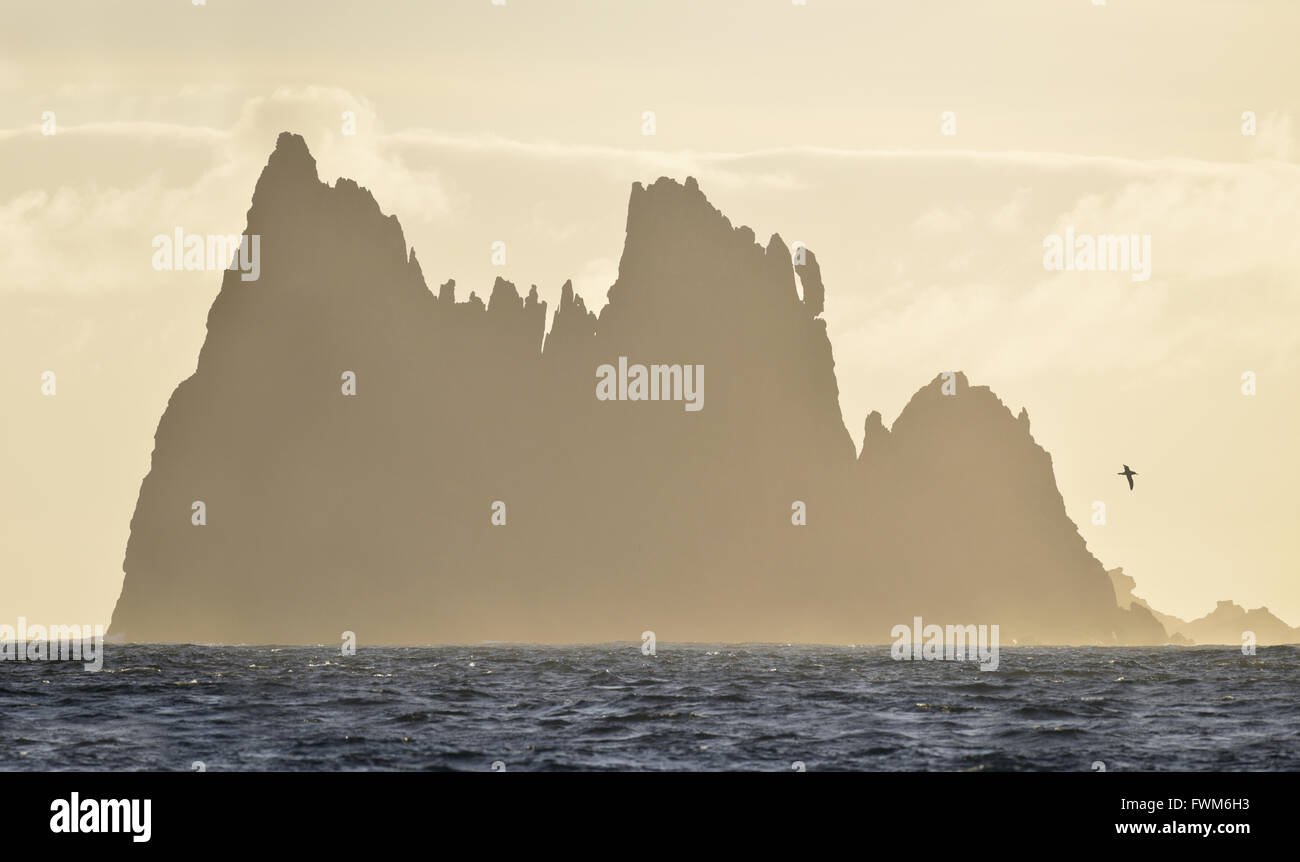 'Il castello', Isole Chatham, Oceano Pacifico al largo della costa della Nuova Zelanda Foto Stock